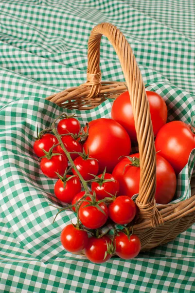 Tomates — Fotografia de Stock