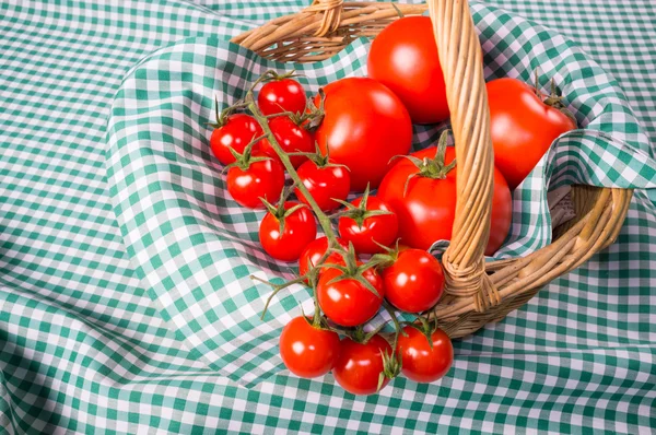 Tomates variados — Fotografia de Stock