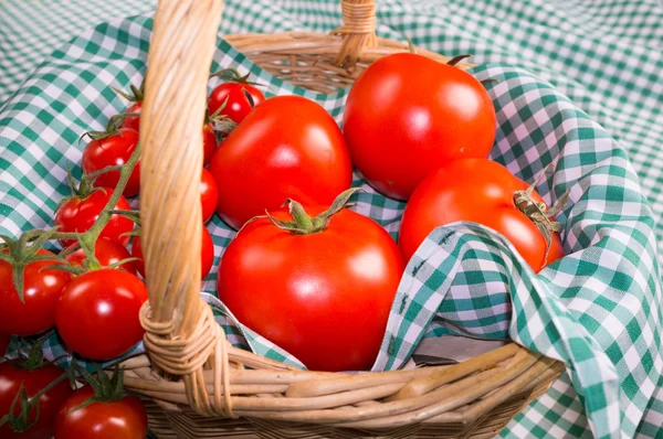 Closeup de tomates — Fotografia de Stock