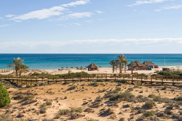 Coastal dunes
