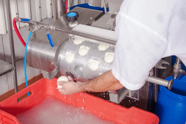 Fermenting milk — Stock Photo, Image