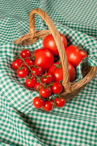 Pomodori — Foto Stock