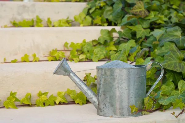 Watering can — Stock Photo, Image