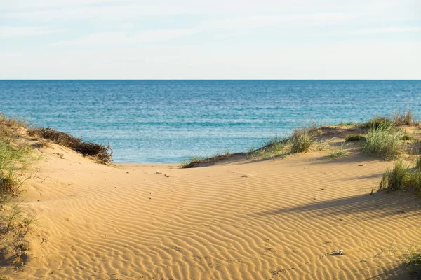 Stranddünen — Stockfoto