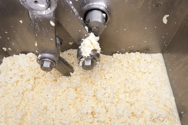 Cheese production machine — Stock Photo, Image