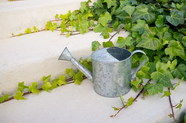 Watering can — Stock Photo, Image