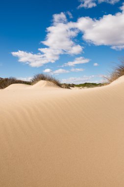 Dunes