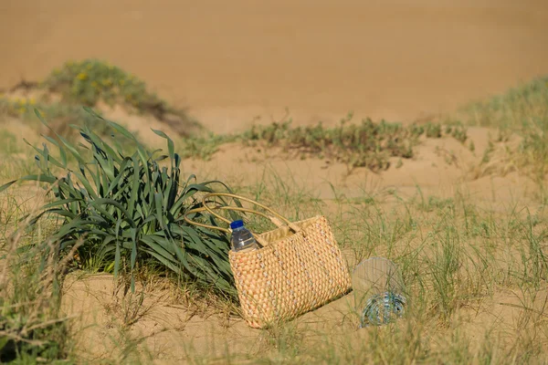 阳光明媚的沙丘 — 图库照片