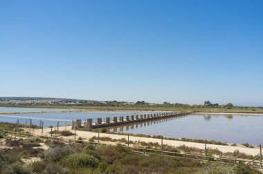 Santa pola tuz bataklığı