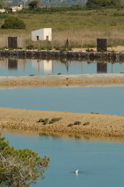 Pantano de sal — Foto de Stock