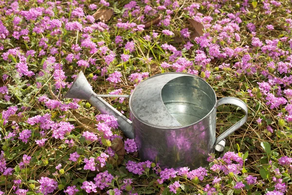 Gardening — Stock Photo, Image