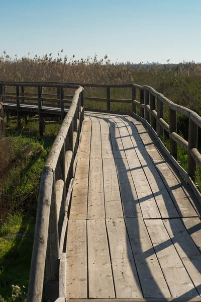 Natural park footbridge — Stock Photo, Image