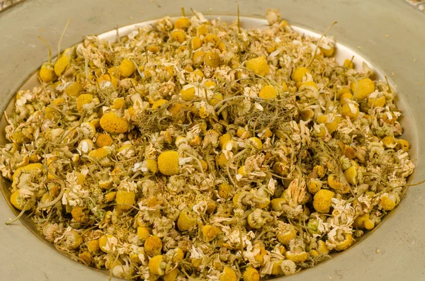 Dried camomile — Stock Photo, Image