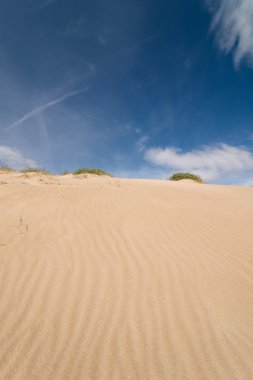 Dune soyut