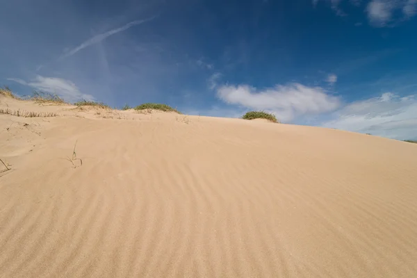 Düne — Stockfoto