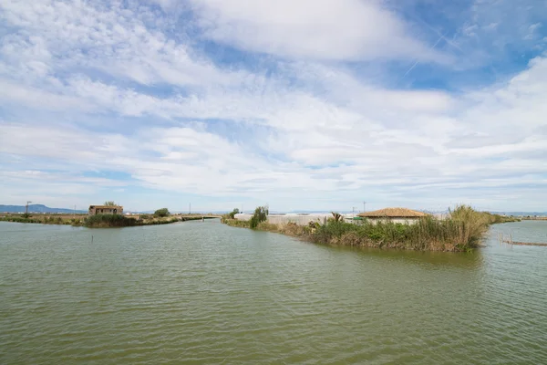 Paisagem de Albufera — Fotografia de Stock