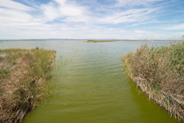 La Albufera, Valencia