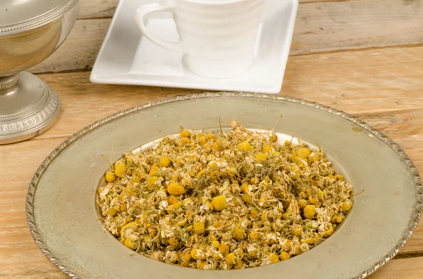 Healthy herbs on plate — Stock Photo, Image