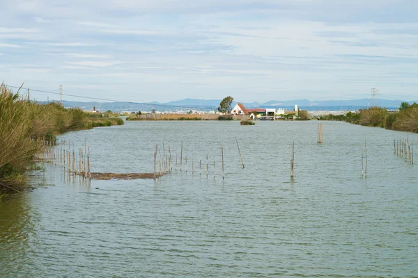 Albufera-Landlandschaft — Stockfoto