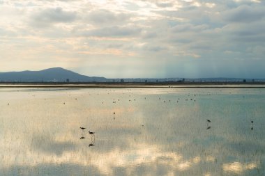 Ebro Delta