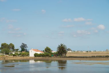 Ebro Delta landscape clipart