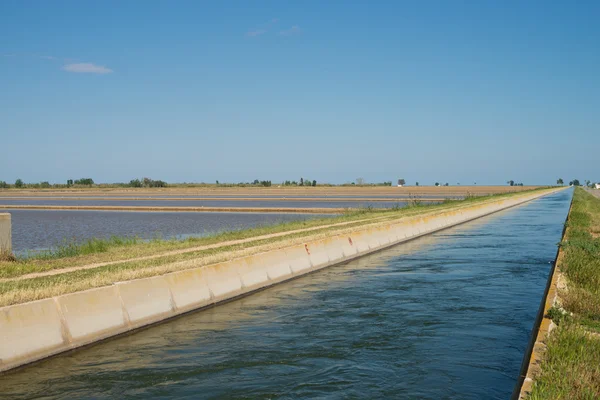 Rice paddy irrigation — Stock Photo, Image