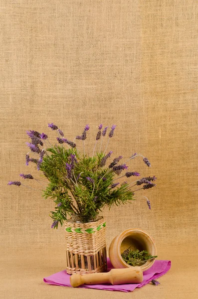 Lavender — Stok Foto