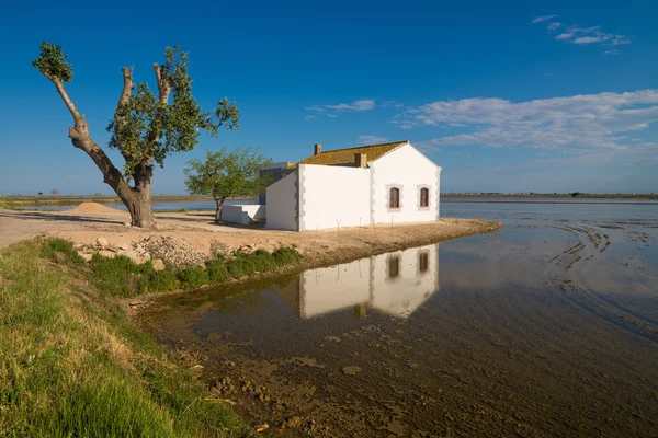 Delta del Ebro — Stock Photo, Image