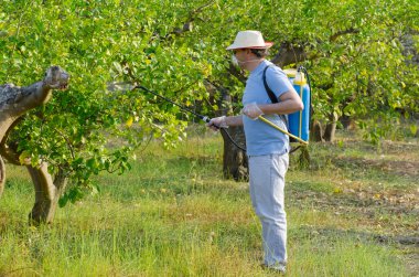 limon alana püskürtme