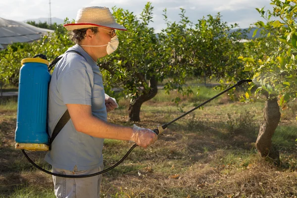 Spraying pesticide — Stock Photo, Image