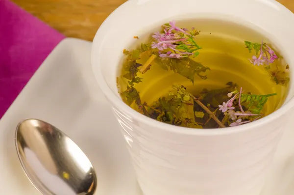 Herbal tea closeup — Stock Photo, Image