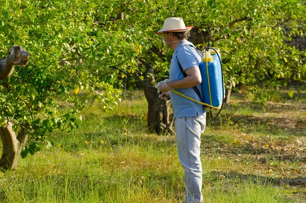 Spraying a lemon field — Stock Photo, Image