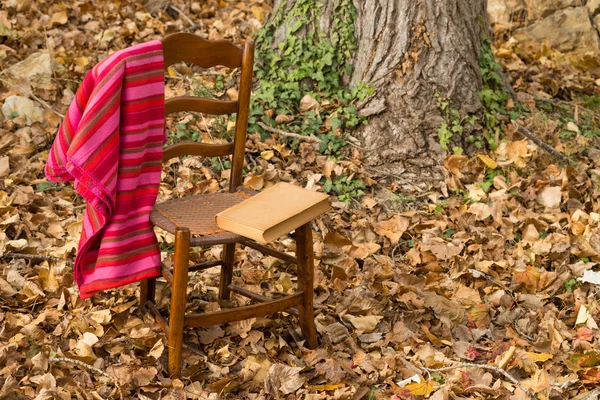 Rahat sandalye — Stok fotoğraf