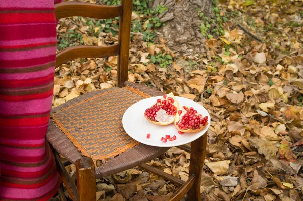 Fall scene with fruit — Stock Photo, Image