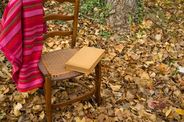 Cozy chair — Stock Photo, Image