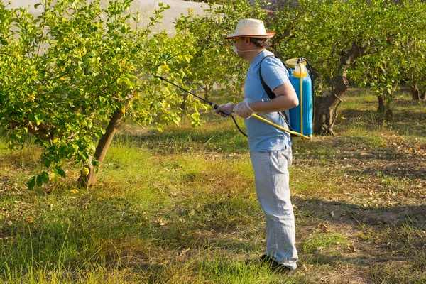 Pulverizando um campo de limão — Fotografia de Stock