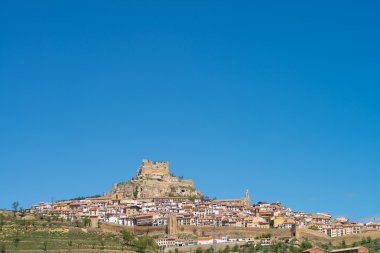 Morella