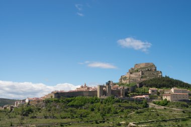 Morella