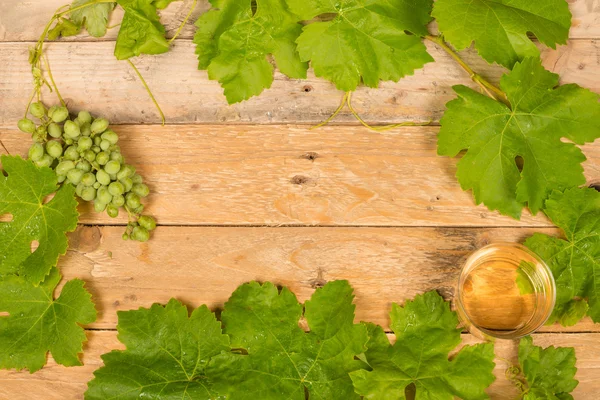 Vine background — Stock Photo, Image