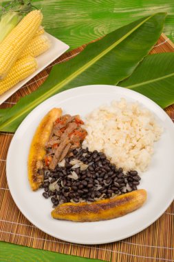 Pabellón criollo