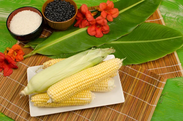 Alimentos básicos latinoamericanos —  Fotos de Stock