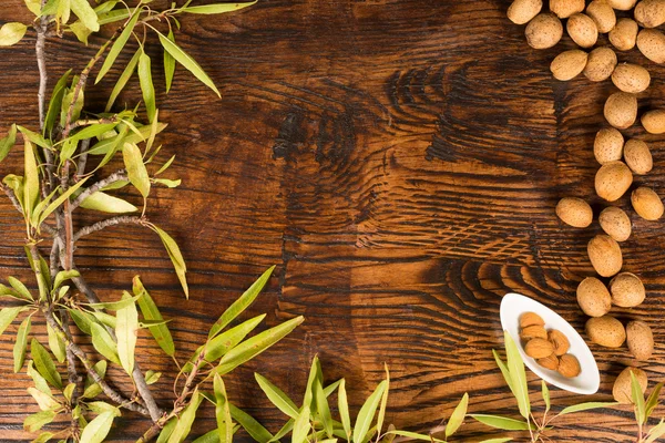 Fondo de almendras — Foto de Stock