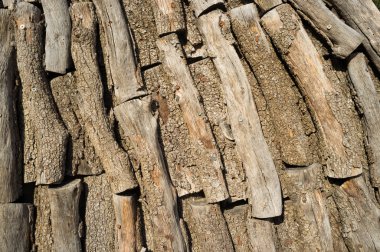 günlükleri kazıklı