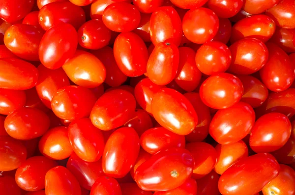 Cherry tomatoes — Stock Photo, Image