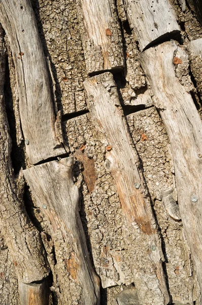 Logi inside węgiel drzewny piec — Zdjęcie stockowe