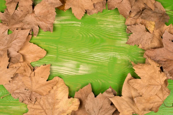 Dry autumn leaves — Stock Photo, Image