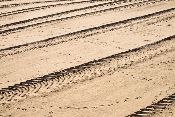 Tyre tracks — Stock Photo, Image