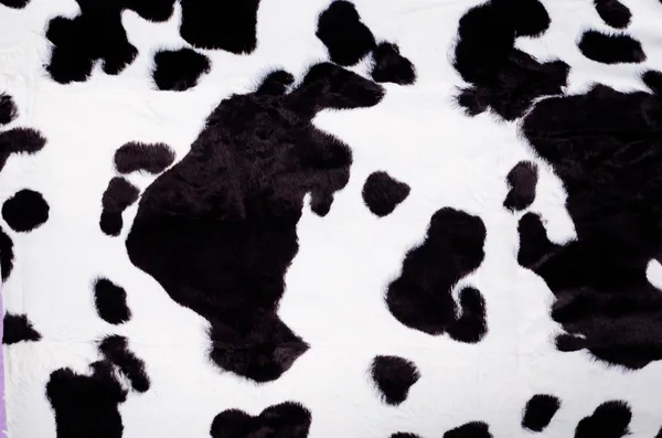 Black and white cow skin — Stock Image Black and white cow skin Stock Image