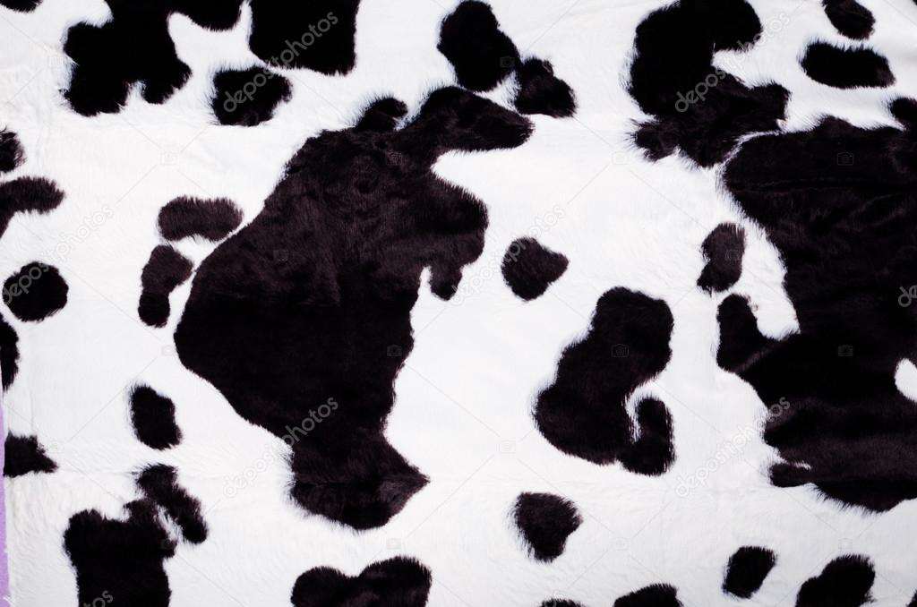 Black and white cow skin