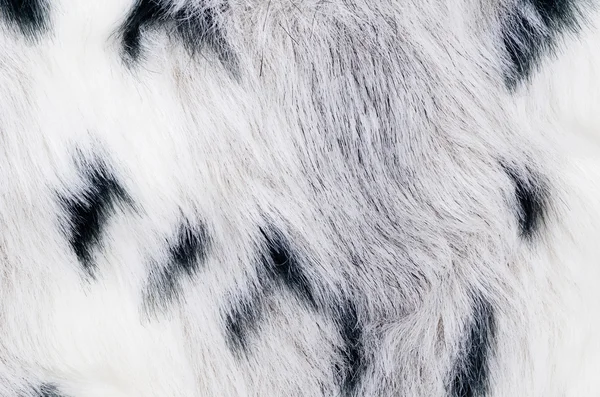 Kráva kůži koberec — Stock fotografie